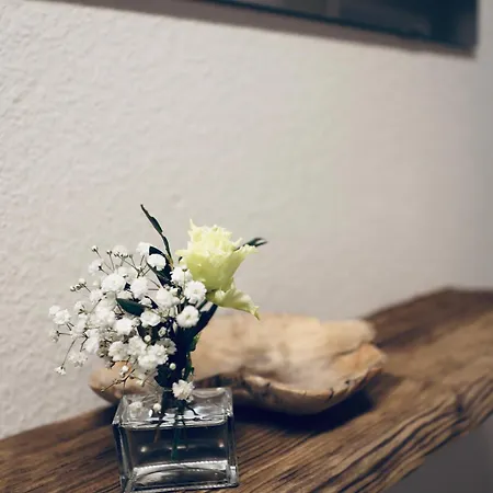 Apartament Sepp